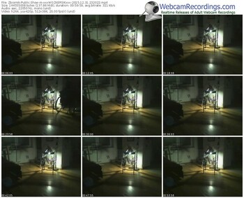 zbiornik-xxxwozkersikxxx-webcam-show-12_31_2015-23_20_22