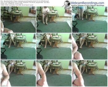 zbiornik-lesneszyszeczkiparka-webcam-show-01_01_2016-09_56_26