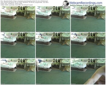 zbiornik-lesneszyszeczkiparka-webcam-show-01_02_2016-12_56_48