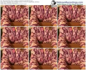 zbiornik-parka_13-webcam-show-01_02_2016-18_51_55