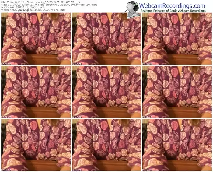 zbiornik-parka_13-webcam-show-01_02_2016-18_51_55