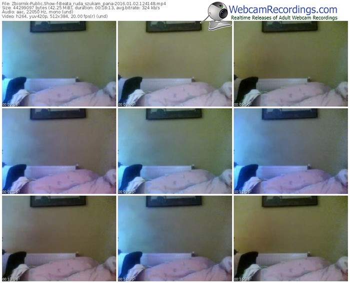 zbiornik-beata_ruda_szukam_pana-webcam-show-01_02_2016-12_41_48
