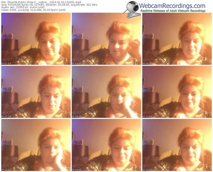 zbiornik-__rudzia__-webcam-show-01_02_2016-15_26_51