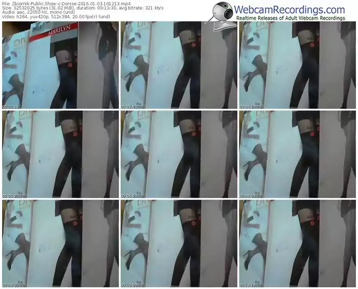 zbiornik-dorsse-webcam-show-01_03_2016-10_12_13