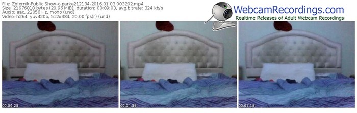 zbiornik-parka212134-webcam-show-01_03_2016-00_32_02