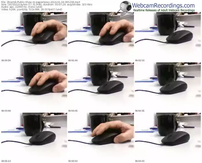zbiornik-papierkowy-webcam-show-01_04_2016-06_52_38