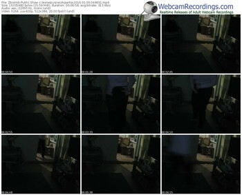 zbiornik-lesneszyszeczkiparka-webcam-show-01_06_2016-04_48_31