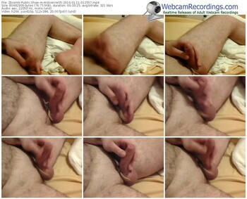 zbiornik-wolverine55-webcam-show-01_11_2016-01_25_57