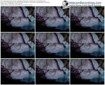 zbiornik-realna_parka7977-webcam-show-01_13_2016-16_26_52