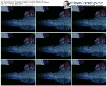 zbiornik-realna_parka7977-webcam-show-01_13_2016-18_26_52