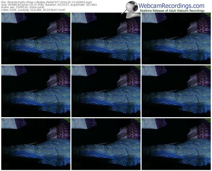 zbiornik-realna_parka7977-webcam-show-01_13_2016-18_26_52