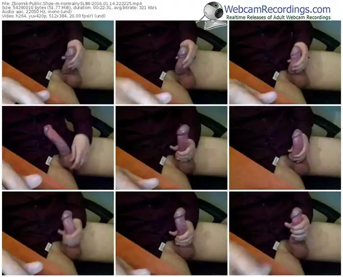 zbiornik-normalnysl88-webcam-show-01_14_2016-22_22_25