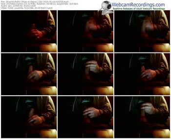 zbiornik-dawid_1221-webcam-show-01_16_2016-02_52_54