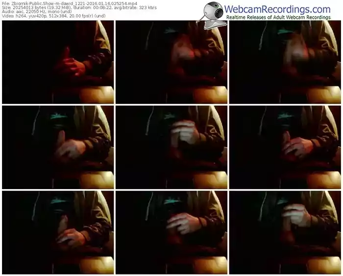 zbiornik-dawid_1221-webcam-show-01_16_2016-02_52_54