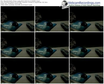 zbiornik-aaliyah21-webcam-show-01_17_2016-00_08_11