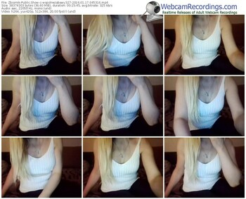 zbiornik-wspolnezabawy327-webcam-show-01_17_2016-04_53_16