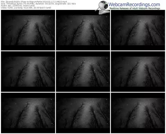 zbiornik-nigrumparte-webcam-show-01_17_2016-11_48_22