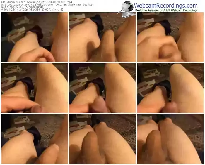 zbiornik-joe_-webcam-show-01_18_2016-00_58_33