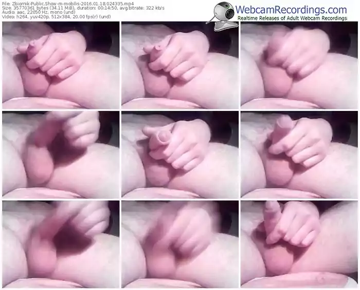 zbiornik-mobilis-webcam-show-01_18_2016-02_43_35