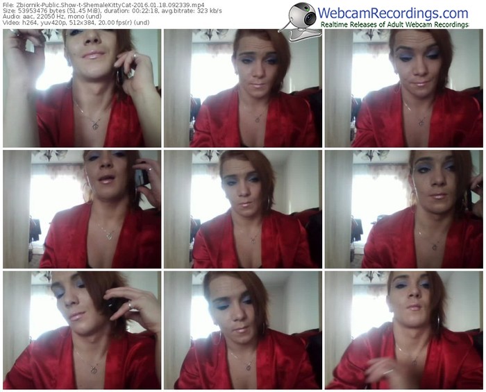 zbiornik-shemalekittycat-webcam-show-01_18_2016-09_23_39