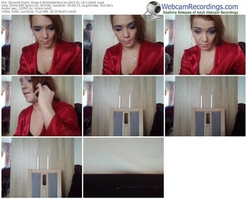 zbiornik-shemalekittycat-webcam-show-01_18_2016-11_08_41