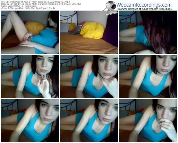 zbiornik-freakybana-webcam-show-01_20_2016-01_14_07