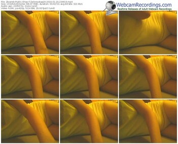 zbiornik-zielonookaa20-webcam-show-01_20_2016-23_49_19