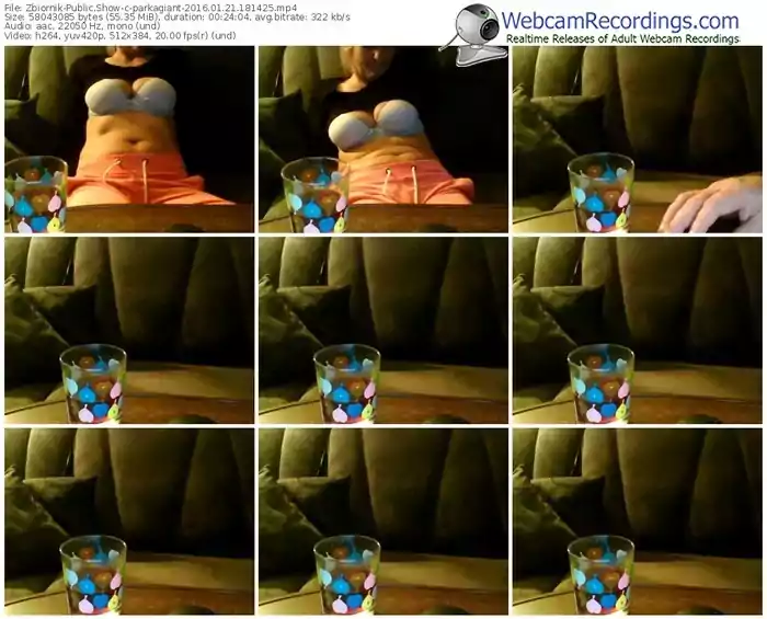 zbiornik-parkagiant-webcam-show-01_21_2016-18_14_25