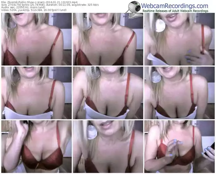 zbiornik-szan1-webcam-show-01_21_2016-13_19_23