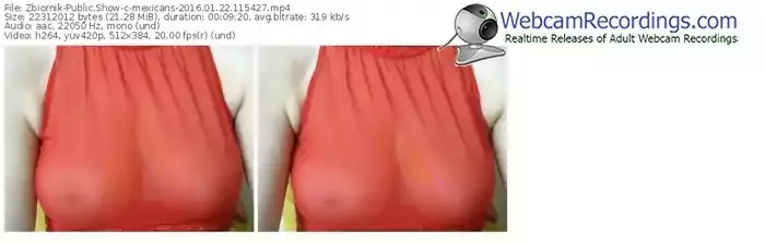 zbiornik-mexicans-webcam-show-01_22_2016-11_54_27