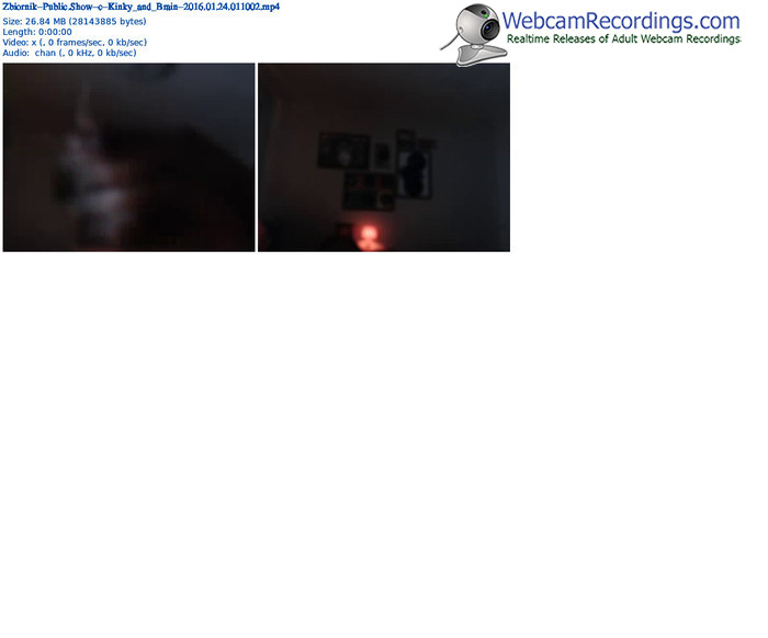 zbiornik-kinky_and_brain-webcam-show-01_24_2016-01_10_02