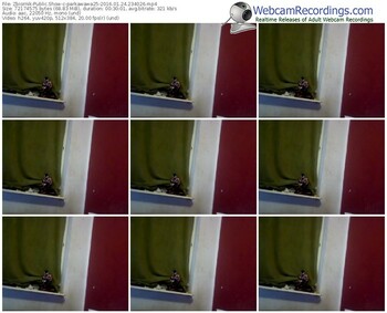zbiornik-parkawawa25-webcam-show-01_24_2016-23_40_26