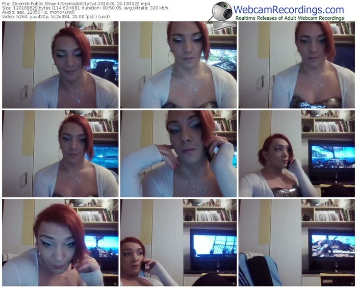 zbiornik-shemalekittycat-webcam-show-01_24_2016-18_30_22