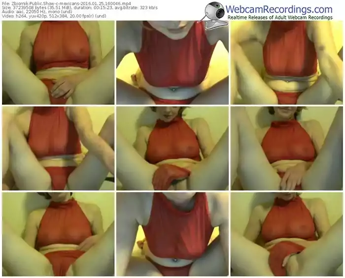 zbiornik-mexicans-webcam-show-01_25_2016-16_00_46