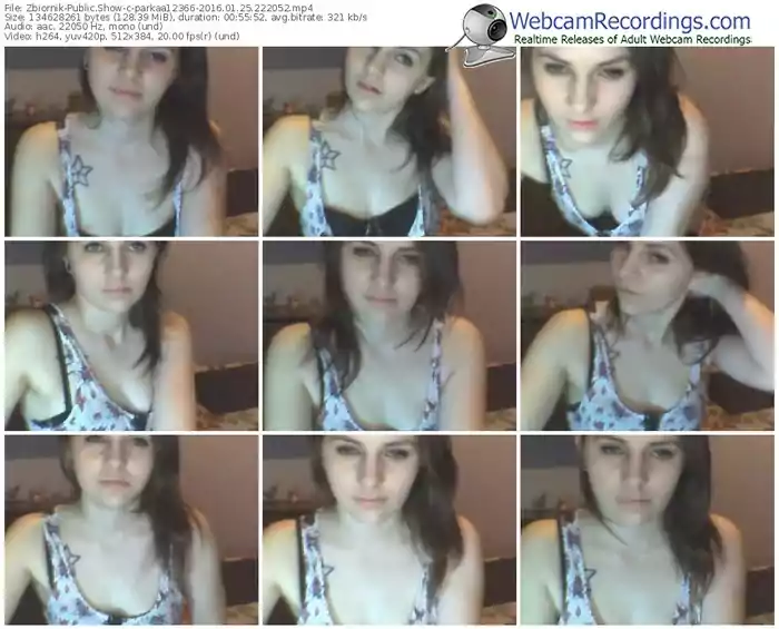 zbiornik-parkaa12366-webcam-show-01_25_2016-22_20_52