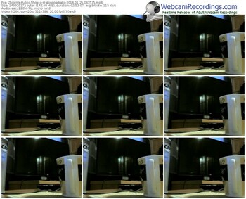 zbiornik-szalonaparka84-webcam-show-01_25_2016-06_35_35