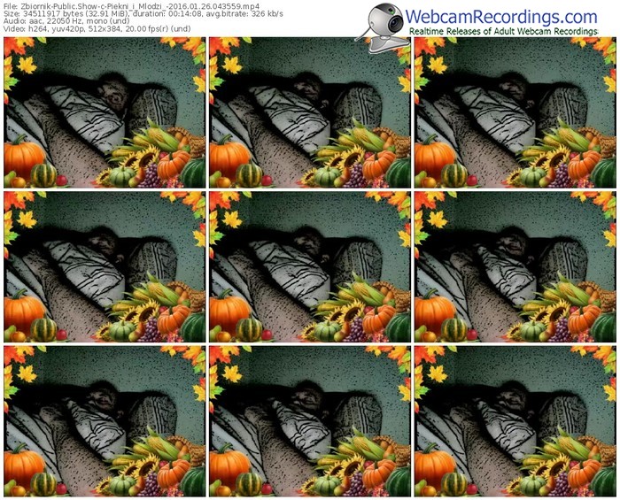 zbiornik-piekni_i_mlodzi_-webcam-show-01_26_2016-04_35_59