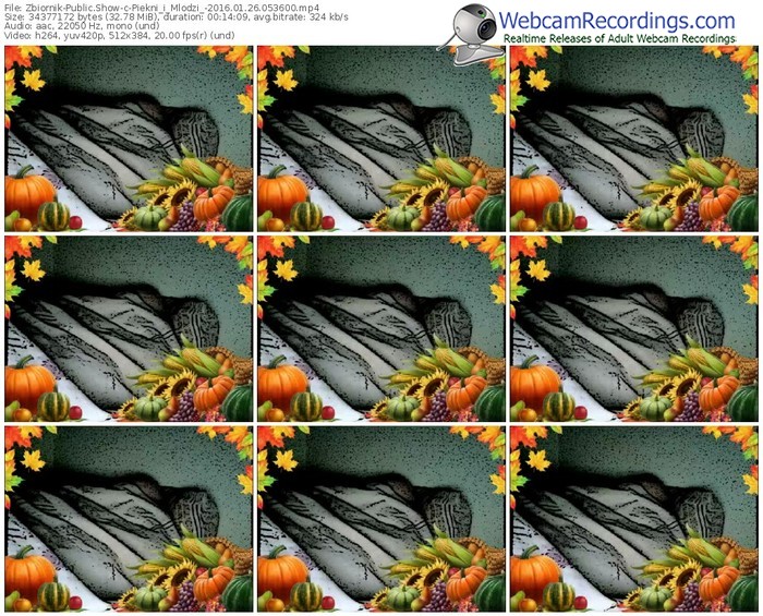 zbiornik-piekni_i_mlodzi_-webcam-show-01_26_2016-05_36_00