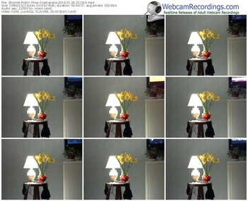 zbiornik-zamazana-webcam-show-01_26_2016-21_16_16