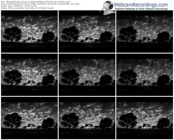 zbiornik-nigrumparte-webcam-show-01_26_2016-11_16_07