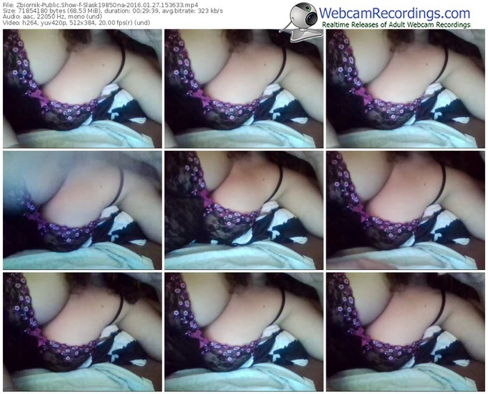 zbiornik-slask1985ona-webcam-show-01_27_2016-15_36_33
