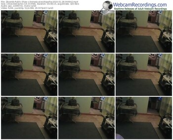 zbiornik-lesneszyszeczkiparka-webcam-show-01_28_2016-06_06_42