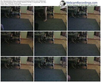 zbiornik-lesneszyszeczkiparka-webcam-show-01_29_2016-17_36_58
