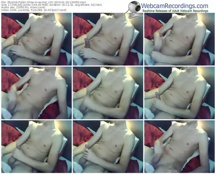 zbiornik-exciter_101-webcam-show-01_29_2016-13_06_56