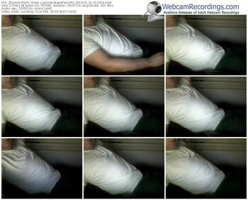 zbiornik-poznanskaparka1991-webcam-show-01_31_2016-01_22_03
