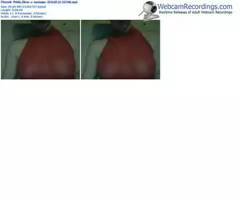 zbiornik-mexicans-webcam-show-02_01_2016-16_12_46