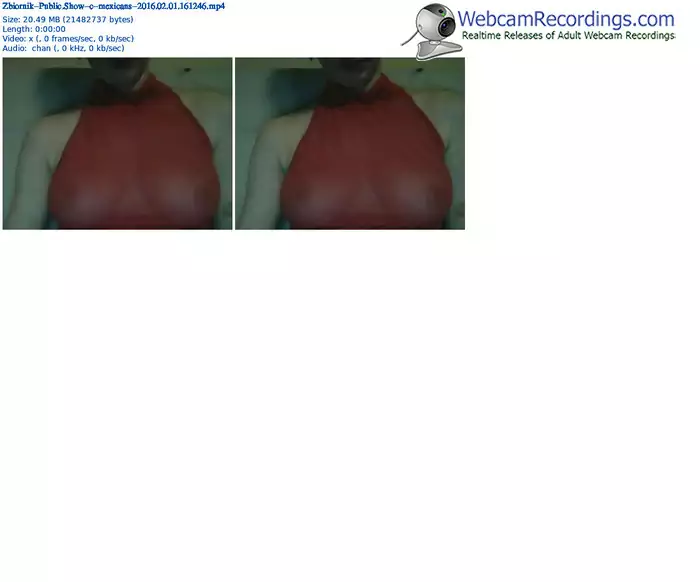 zbiornik-mexicans-webcam-show-02_01_2016-16_12_46