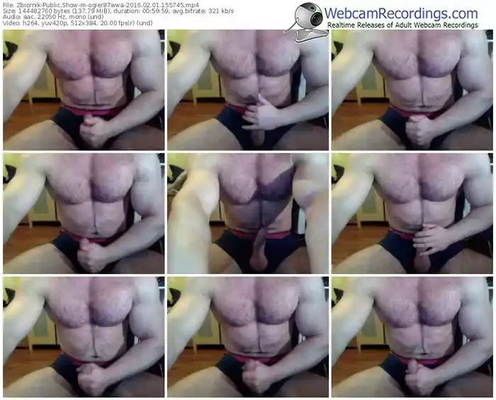 zbiornik-ogier87wwa-webcam-show-02_01_2016-15_57_45