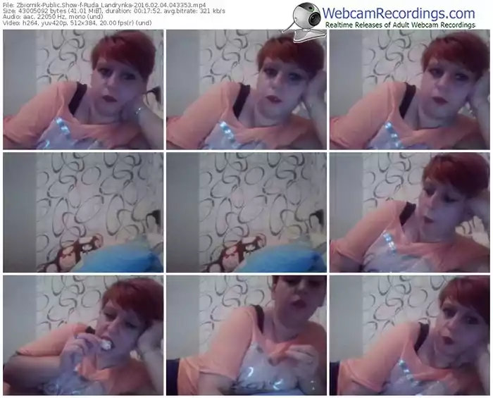 zbiornik-ruda_landrynka-webcam-show-02_04_2016-04_33_53