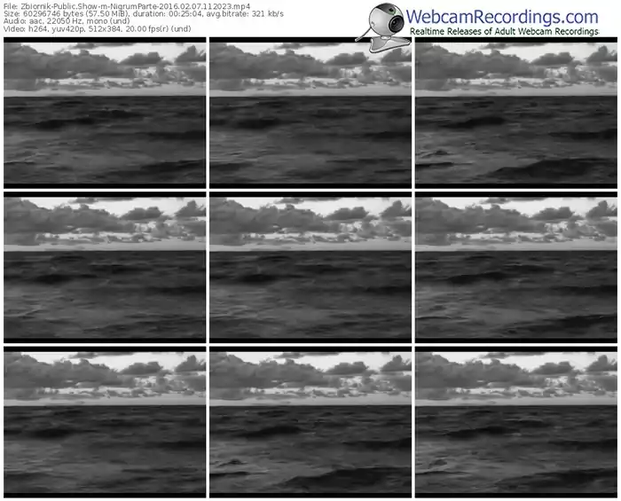 zbiornik-nigrumparte-webcam-show-02_07_2016-11_20_23